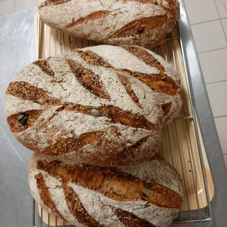 Alpehytte Du Bon Air *