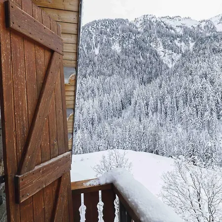 Du Bon Air Chalet Peisey-Nancroix