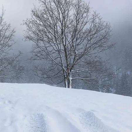 Chalet Du Bon Air Peisey-Nancroix